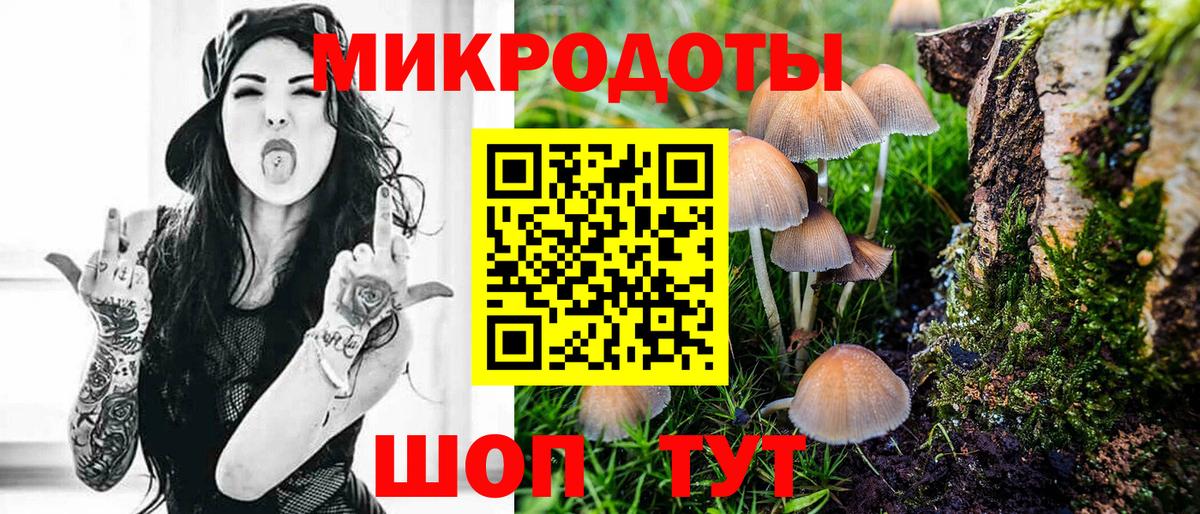 Псилоцибиновые грибы GOLDEN TEACHER  Вход с VPN  Осинники 